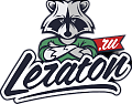 LeraTon аппликаторы