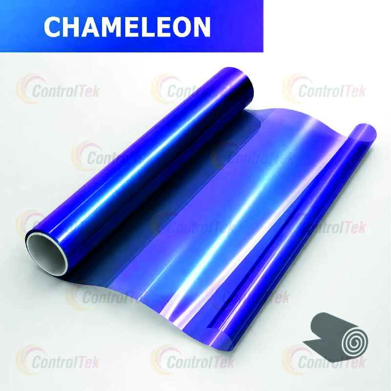CHAMELEON VIOLET
